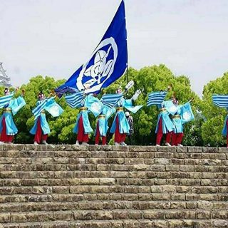 よさこい播州櫻組