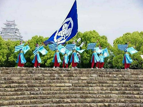 よさこい播州櫻組